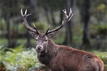 D6 Boutissaint 21-10-06 1364   Photo ACG