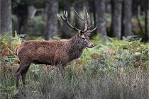 D6 Boutissaint 21-10-06 1388   Photo ACG