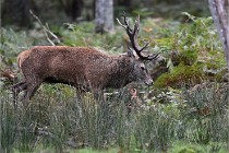 D6 Boutissaint 21-10-06 1410   Photo ACG