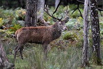 D6 Boutissaint 21-10-06 1414   Photo ACG