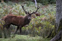 D6 Boutissaint 21-10-06 1418   Photo ACG