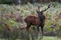 D6 Boutissaint 21-10-06 1423   Photo ACG