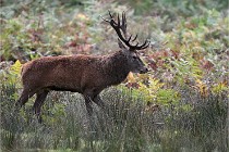 D6 Boutissaint 21-10-06 1431   Photo ACG