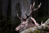 D6 Boutissaint 21-10-06 1456   Photo ACG