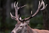 D6 Boutissaint 21-10-06 1467   Photo ACG