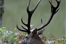 D6 Boutissaint 21-10-06 1585   Photo ACG