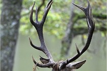 D6 Boutissaint 21-10-06 1599   Photo ACG