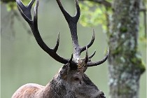 D6 Boutissaint 21-10-06 1604   Photo ACG