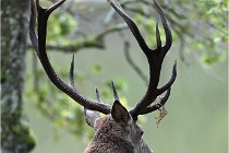 D6 Boutissaint 21-10-06 1617   Photo ACG