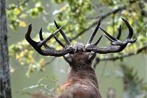 D6 Boutissaint 21-10-06 1628   Photo ACG