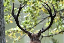 D6 Boutissaint 21-10-06 1630   Photo ACG