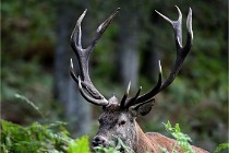 D6 Boutissaint 21-10-06 1669   Photo ACG