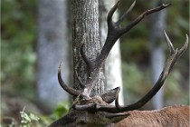 D6 Boutissaint 21-10-06 1683   Photo ACG