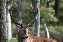 D6 Boutissaint 21-10-06 1689   Photo ACG