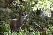 D6 Boutissaint 21-10-06 1718   Photo ACG