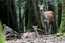 D6 Boutissaint 21-10-06 1798   Photo ACG