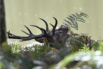 D6 Boutissaint 21-10-06 1883   Photo ACG