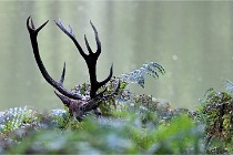 D6 Boutissaint 21-10-06 1890   Photo ACG