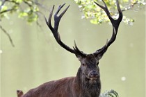 D6 Boutissaint 21-10-06 1901   Photo ACG