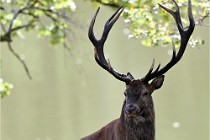 D6 Boutissaint 21-10-06 1904   Photo ACG