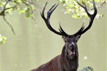 D6 Boutissaint 21-10-06 1910   Photo ACG