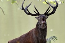 D6 Boutissaint 21-10-06 1911   Photo ACG