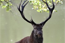 D6 Boutissaint 21-10-06 1931   Photo ACG