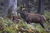 D6 Boutissaint 21-10-08 2016   Photo ACG