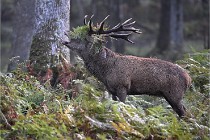 D6 Boutissaint 21-10-08 2020   Photo ACG