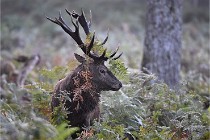 D6 Boutissaint 21-10-08 2031   Photo ACG