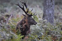 D6 Boutissaint 21-10-08 2033   Photo ACG