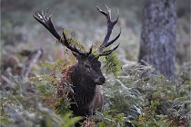 D6 Boutissaint 21-10-08 2036   Photo ACG