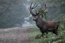 D6 Boutissaint 21-10-09 2986   Photo ACG