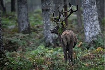 D6 Boutissaint 21-10-09 3020   Photo ACG