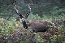 D6 Boutissaint 21-10-09 3077   Photo ACG