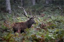 D6 Boutissaint 21-10-09 3251   Photo ACG