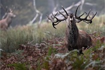 D6 Boutissaint 21-10-09 3426   Photo ACG