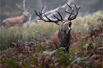 D6 Boutissaint 21-10-09 3429   Photo ACG