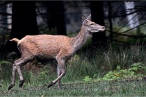 D6 Boutissaint 21-10-09 3518   Photo ACG