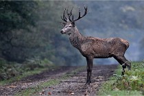 D6 Boutissaint 21-10-09 3558   Photo ACG