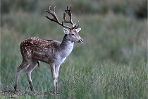 D6 Boutissaint 21-10-05 0041   Photo ACG