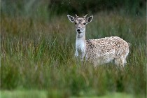 D6 Boutissaint 21-10-05 0054   Photo ACG