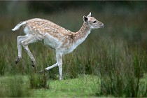 D6 Boutissaint 21-10-05 0081   Photo ACG