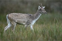 D6 Boutissaint 21-10-05 0086   Photo ACG