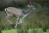 D6 Boutissaint 21-10-05 0090   Photo ACG