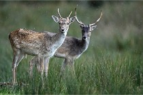 D6 Boutissaint 21-10-05 0101   Photo ACG