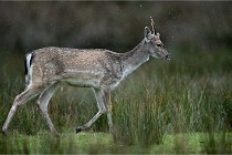 D6 Boutissaint 21-10-05 0119   Photo ACG