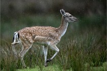 D6 Boutissaint 21-10-05 0136   Photo ACG