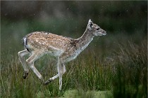 D6 Boutissaint 21-10-05 0141   Photo ACG