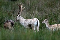 D6 Boutissaint 21-10-05 0145   Photo ACG